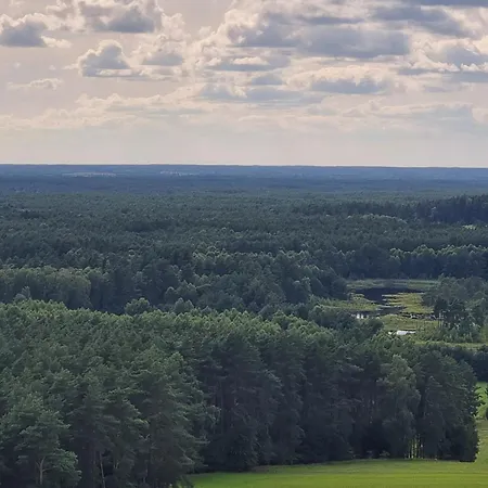 Hébergement de vacances Letniskowe Przy Kasztanie
